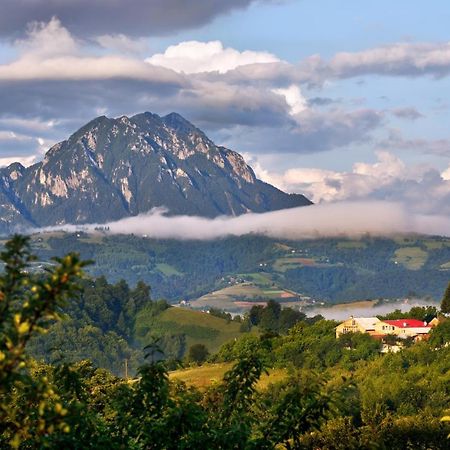 Casa Cristalul Muntilor Hotel Almafatelep Kültér fotó