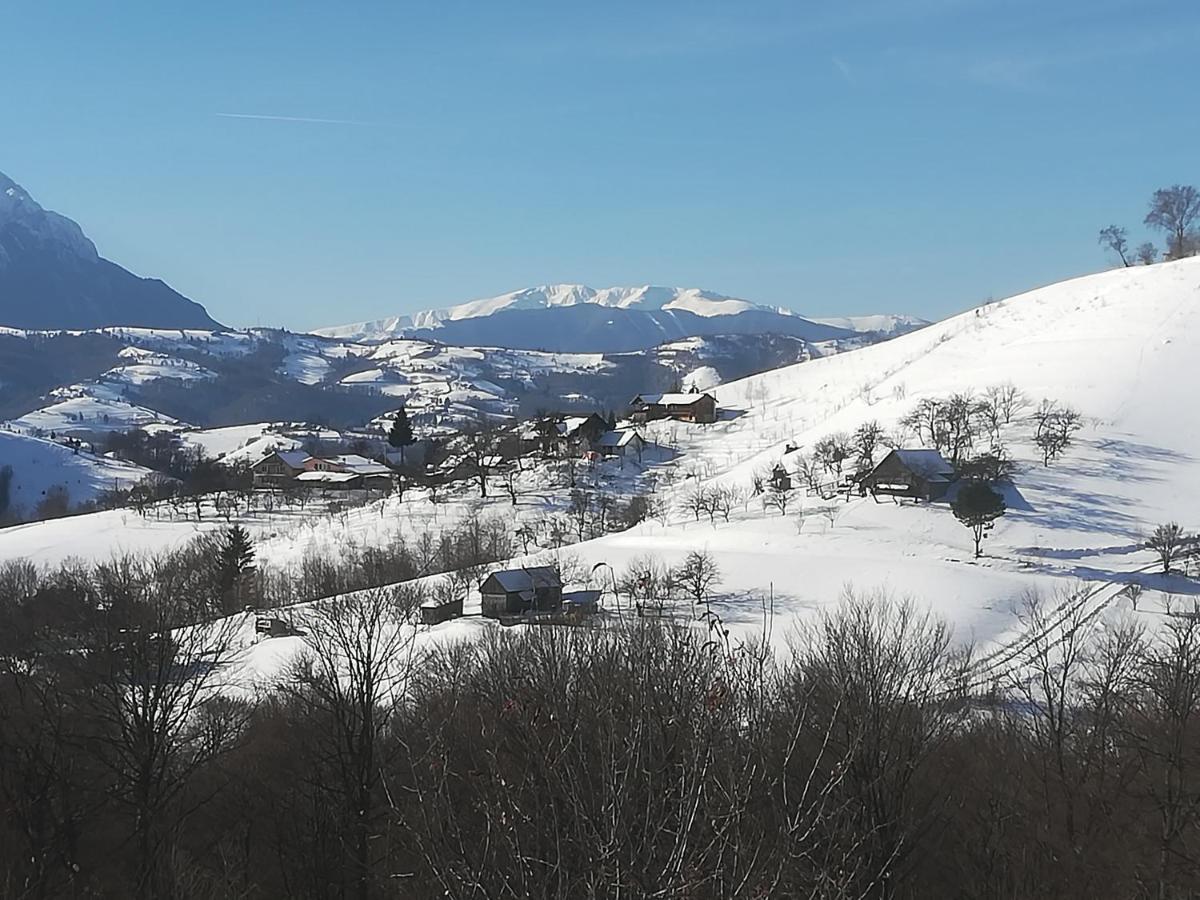 Casa Cristalul Muntilor Hotel Almafatelep Kültér fotó