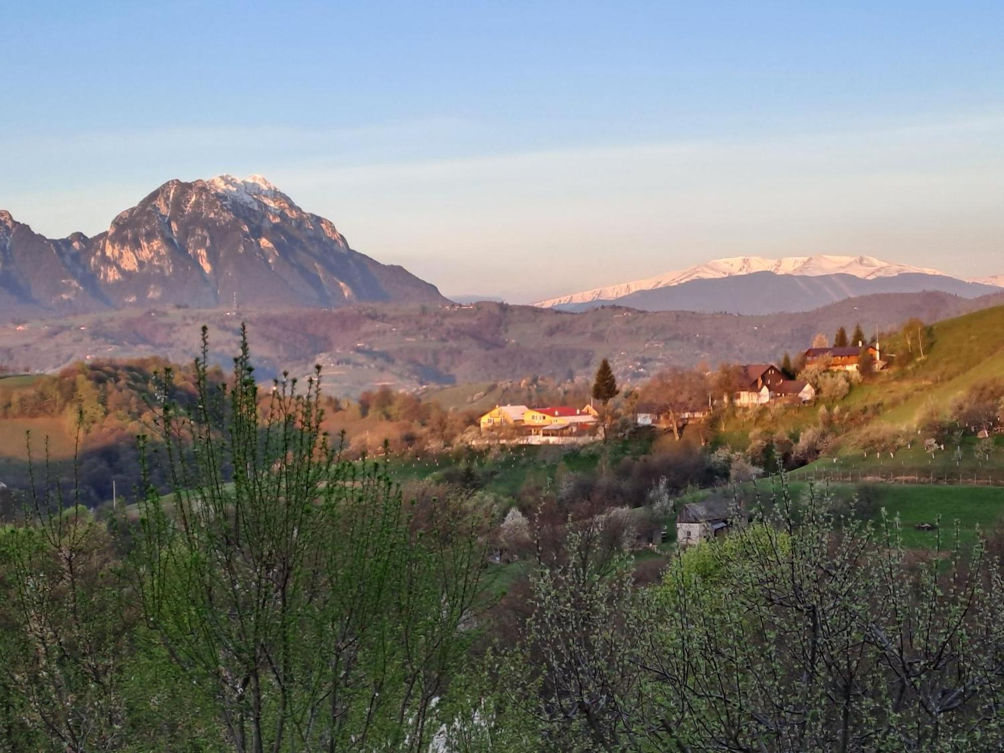 Casa Cristalul Muntilor Hotel Almafatelep Kültér fotó