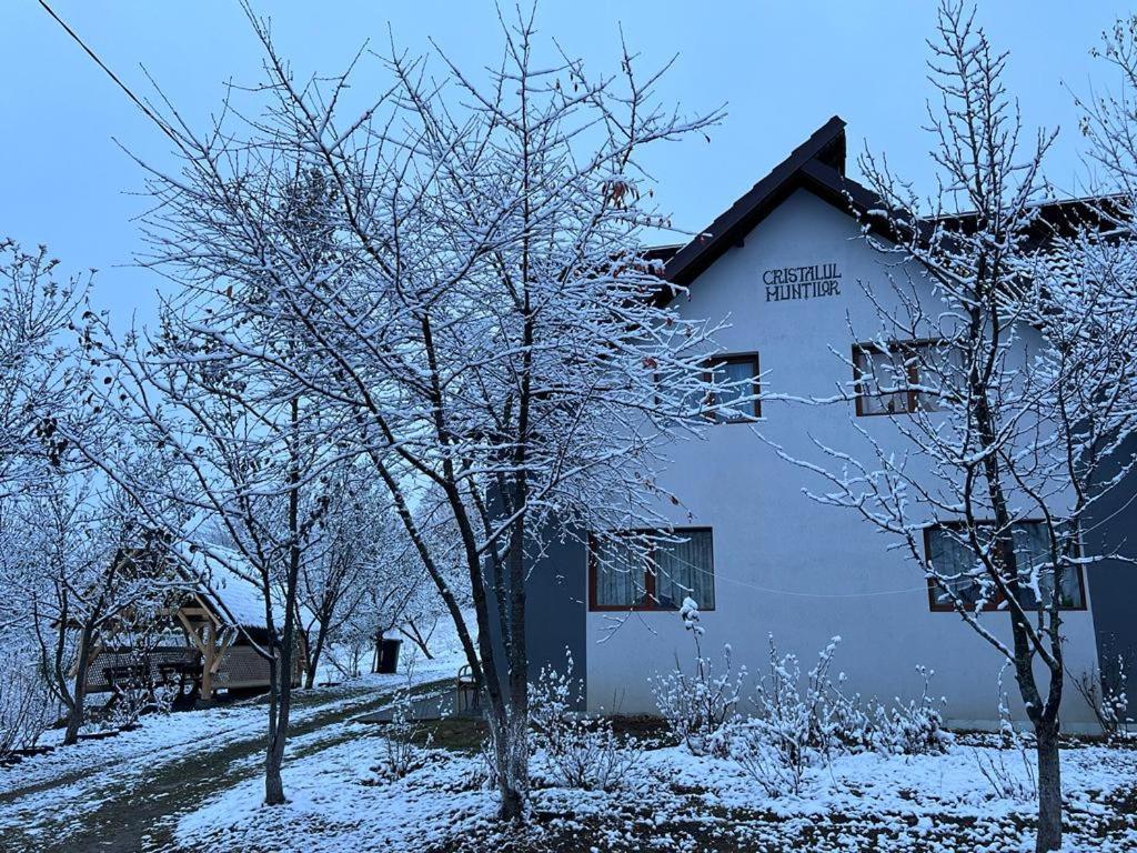 Casa Cristalul Muntilor Hotel Almafatelep Kültér fotó