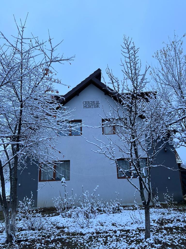Casa Cristalul Muntilor Hotel Almafatelep Kültér fotó