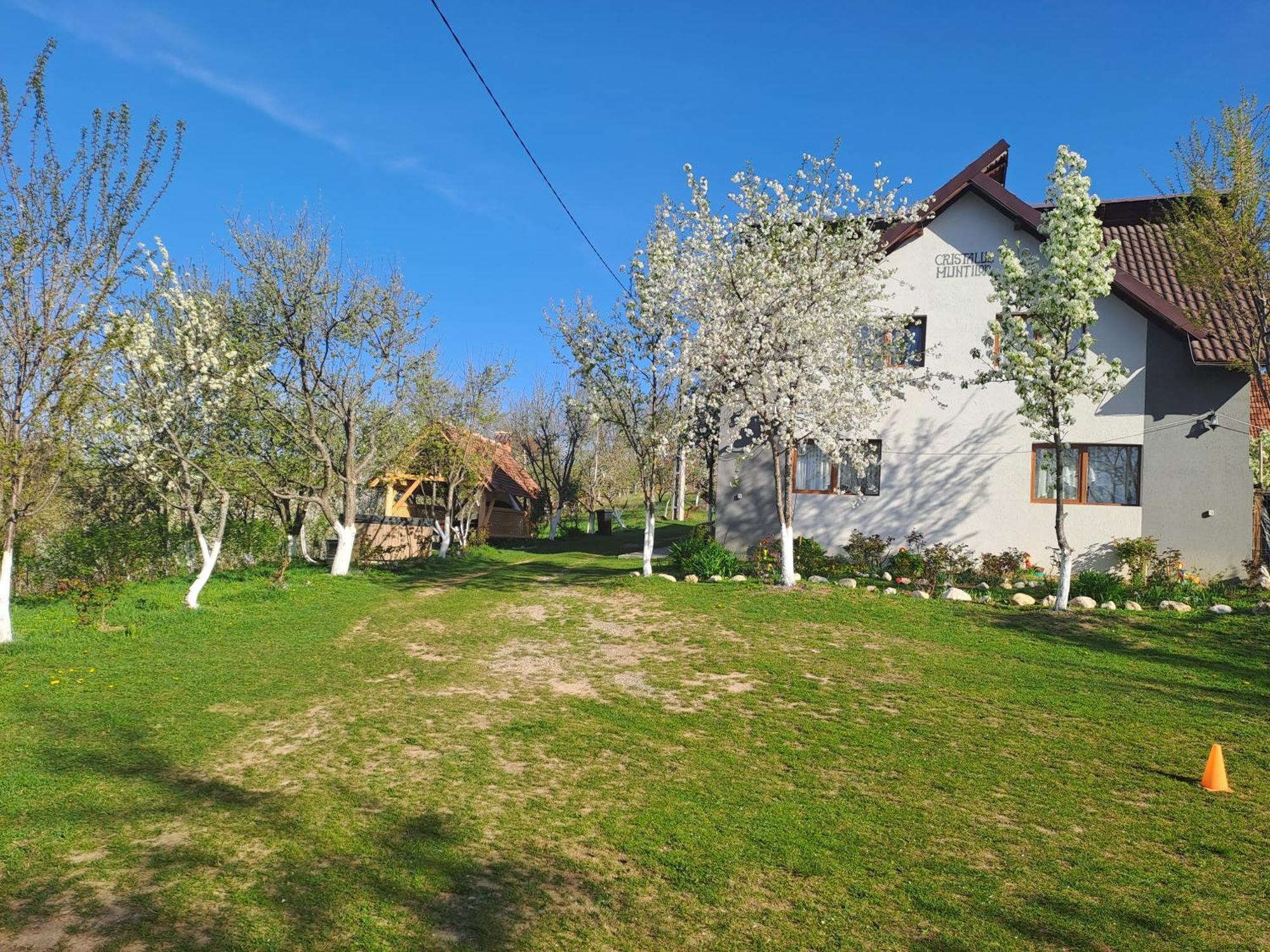 Casa Cristalul Muntilor Hotel Almafatelep Kültér fotó
