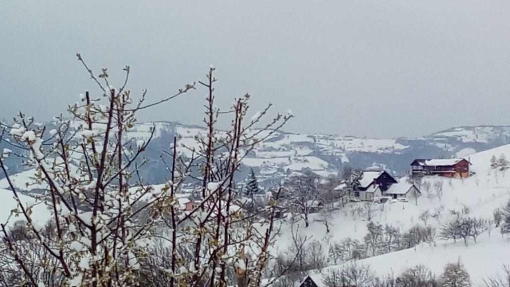 Casa Cristalul Muntilor Hotel Almafatelep Kültér fotó