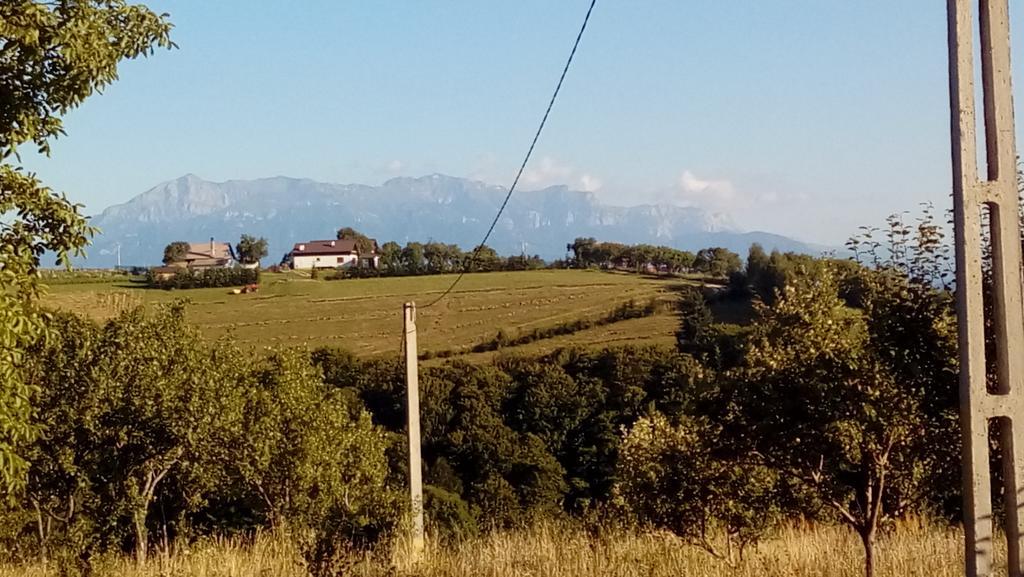 Casa Cristalul Muntilor Hotel Almafatelep Kültér fotó