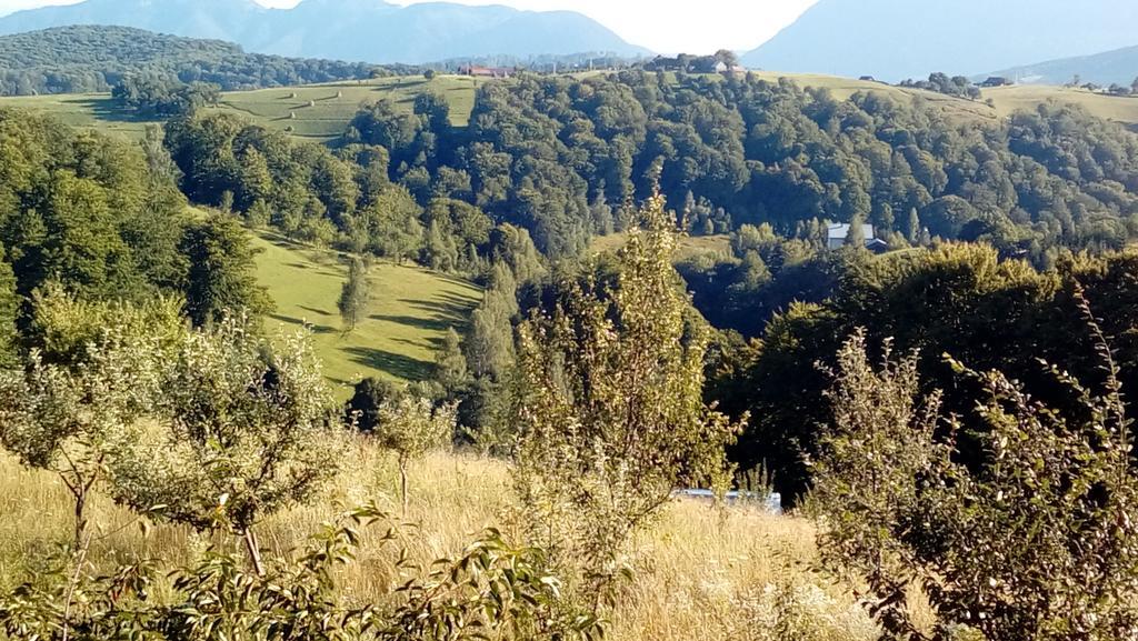 Casa Cristalul Muntilor Hotel Almafatelep Kültér fotó